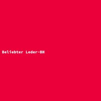 Beliebter Leder-BH